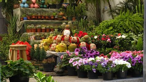 Mercado De Flores Madre Selva Xochimilco Mexico City