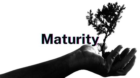 Maturity Pt 11 Sexual Purity 1 Youtube