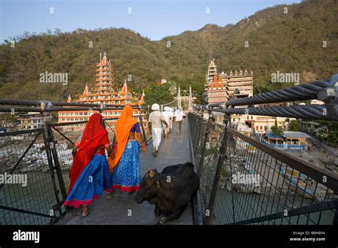 Pedestrians crossing Lakshman Jhula bridge. Rishikesh. Uttarakhand ...