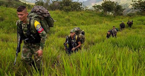 Colombia Incautaron Una Tonelada De Cocaína A Un Grupo Disidente De Las Farc Infobae