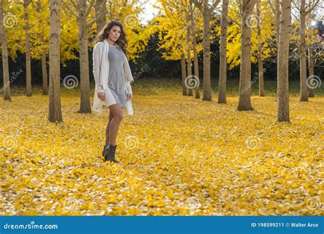 Brunette Model In Fall Foliage Stock Image Image Of Charming Forest