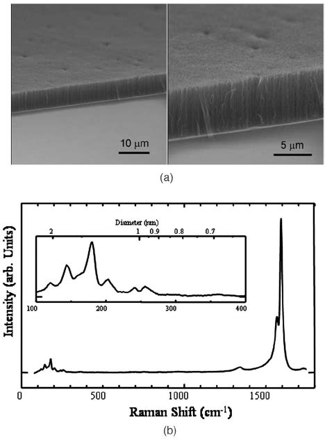 Sem Image Of Swnts On Quartz Substrate A And Raman Spectrum At Nm