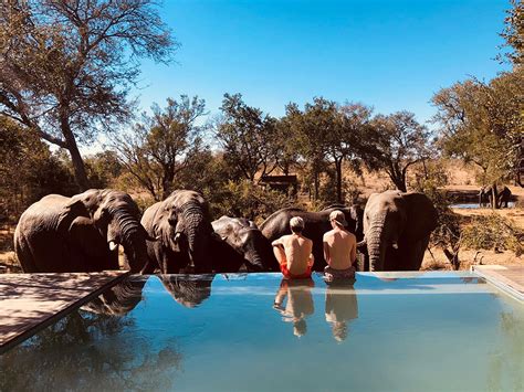 Sur Les Terres Des Safaris Les Meilleurs H Tels D Afrique Du Sud