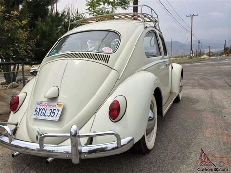 1962 VOLKSWAGEN BEETLE SURVIVOR