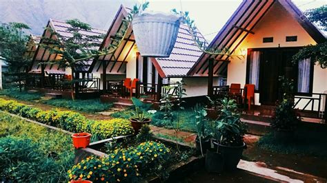 Nuansa Rinjani Bungalow Penginapan Recommended Di Sembalun Wisata