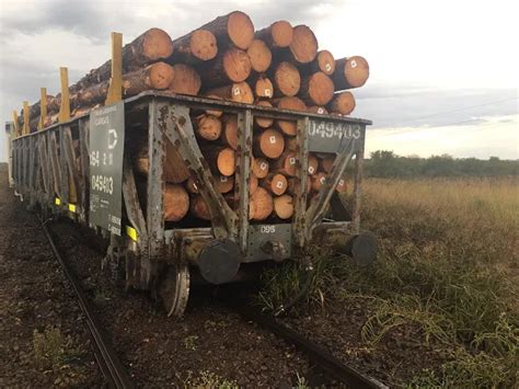 CRÓNICA FERROVIARIA Siguen los descarrilamientos de trenes en la Línea