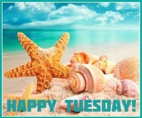 Happy Tuesday Pictures Beach Artwork Great Hobbies Canvas 5 Free