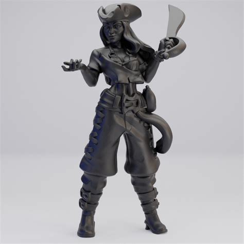 Hot Goblin 女性海賊 ミニチュア ホットゴブリン TRPG 海賊フィギュア