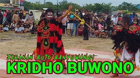 Jaranan Buto Banyuwangi Terbaru Kridho Buwono Live Tunas Regency