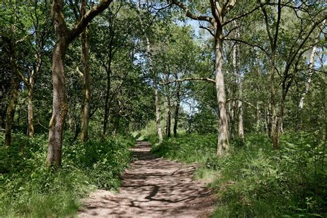 Woodland Bridleway On Highgate Common In Roger D Kidd Geograph