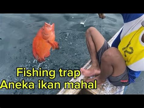 Mancing Dasaran Strike Berkali Kali Malah Ada Badai Menghampiri YouTube