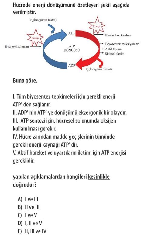 Bu Soruya Bakabilirmisiniz Acil Eodev