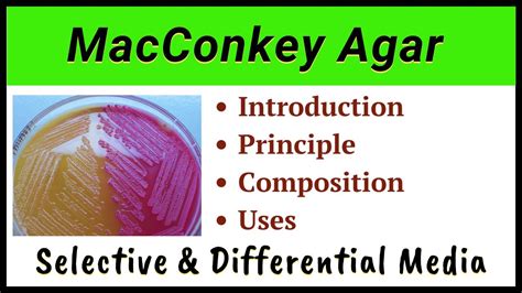 Macconkey Agar Composition Of Mcconkey Agar Youtube