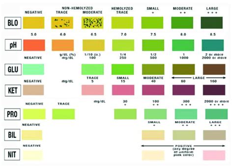 Urine Ph Color Chart