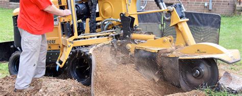 Stump Grinding - Truetimber