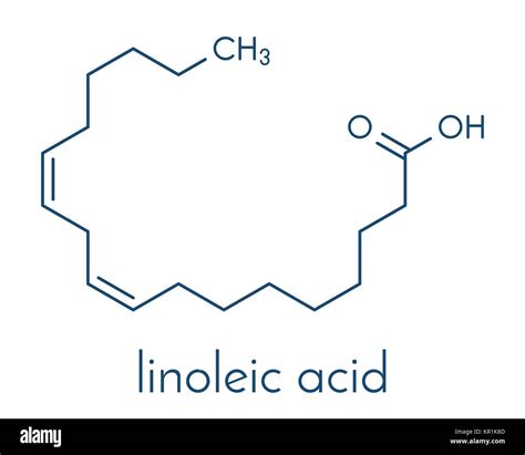 Omega 6 Fatty Acid