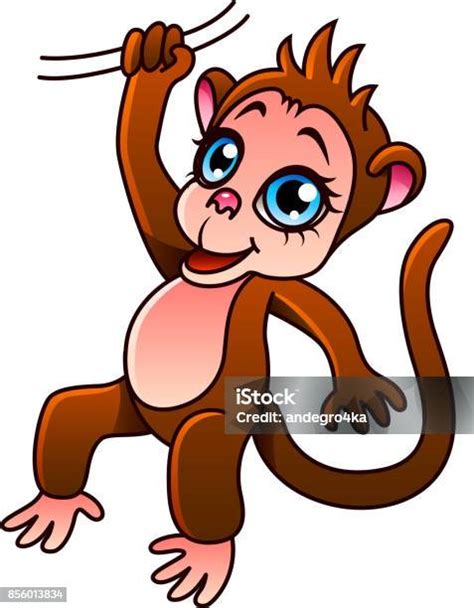Ilustrasi Vektor Terisolasi Monyet Kartun Ilustrasi Stok Unduh Gambar