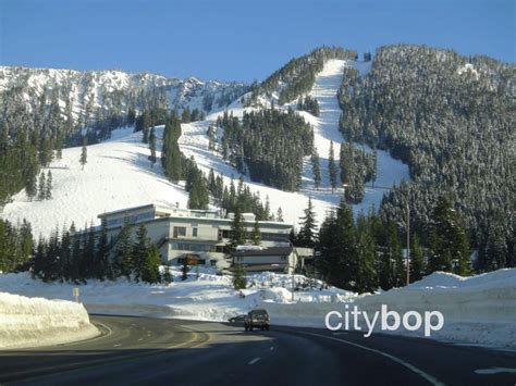 5 Best Things To Do At Stevens Pass Wa