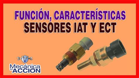 Funci N Y Caracter Sticas Sensores Iat Y Ect Youtube