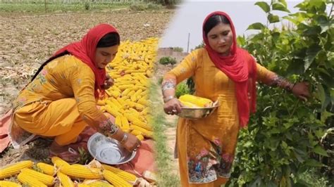 گاؤں کی لڑکی کے انوکھے کام Gaon ki ladki ke anokhe kam Village life