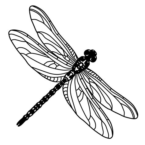 Dragonfly Mello Art Street Clipart Image Clipartsign
