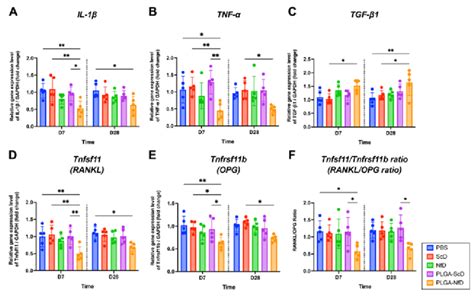 Quantitative Real Time Polymerase Chain Reaction Analysis Of