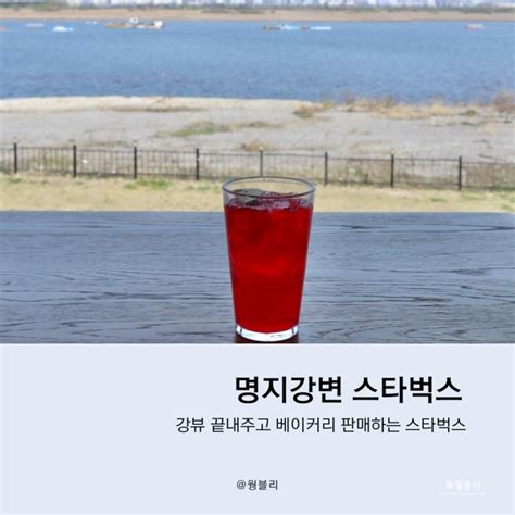 부산 가볼만한 곳 뷰좋은 카페 스타벅스 명지강변dt점 네이버 블로그