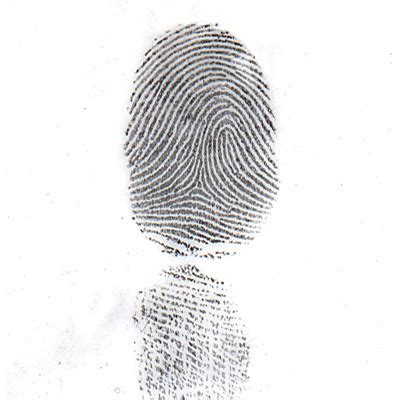 Fingerprint Sketch At Paintingvalley Explore Collection Of