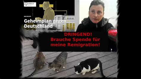 Spenden F R Meine Remigration Gedanke Zum Correctiv Artikel