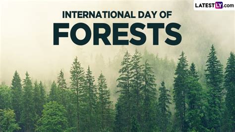 International Day Of Forests 2024 Date Theme History And Significance