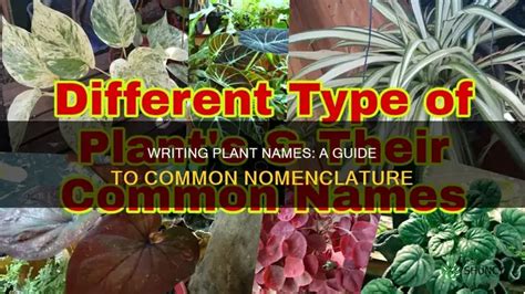 writing plant names  guide  common nomenclature shuncy