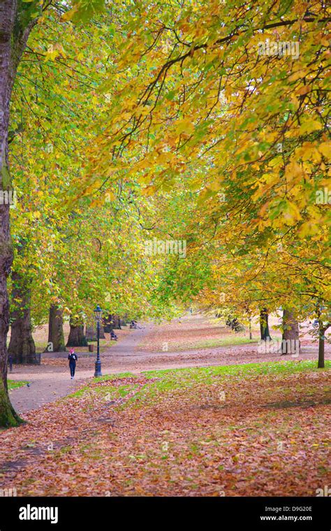 Walking In An Autumnal Hyde Park London England UK Stock Photo Alamy