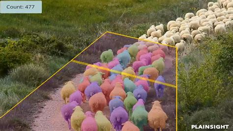 Ai Counts Sheep How Computer Vision Is Changing Agriculture