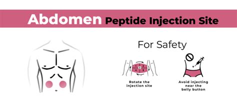 Peptide Injection Sites Full Guide On Where To Inject Peptides