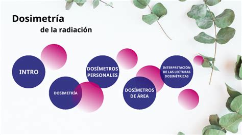 DOSIMETRÍA DE LA RADIACIÓN by Teresa Ribera Cano on Prezi