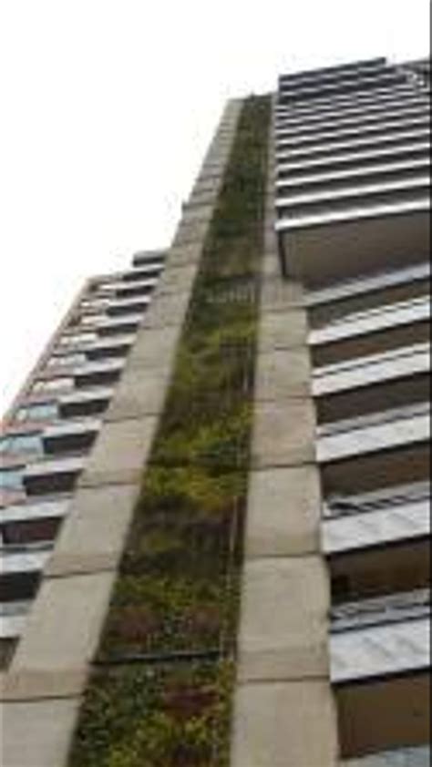 Una Pared Verde Gigantesca Informaci N