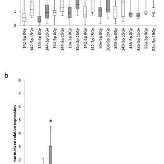 The Top Most Abundant Mature Mirnas In The Blood A And Lung B Of