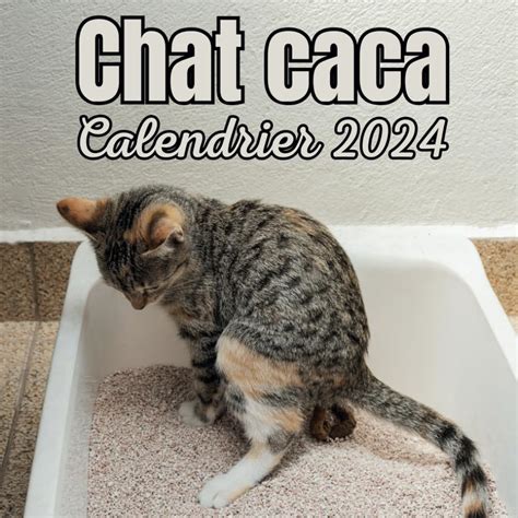 Chat Caca Calendrier Organisateur De Planificateur Mensuel De