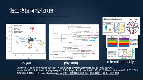 刘永鑫：20分钟讲解微生物组数据分析与可视化实战 研究