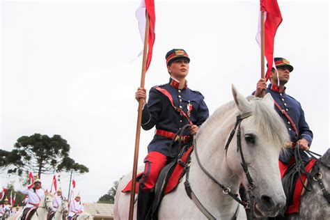 Cavalos Cheios De Hist Rias E Honrarias Cavalaria Da Pm Completa Anos