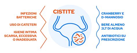 Cistite Rimedi E Consigli Utili Farmavalore