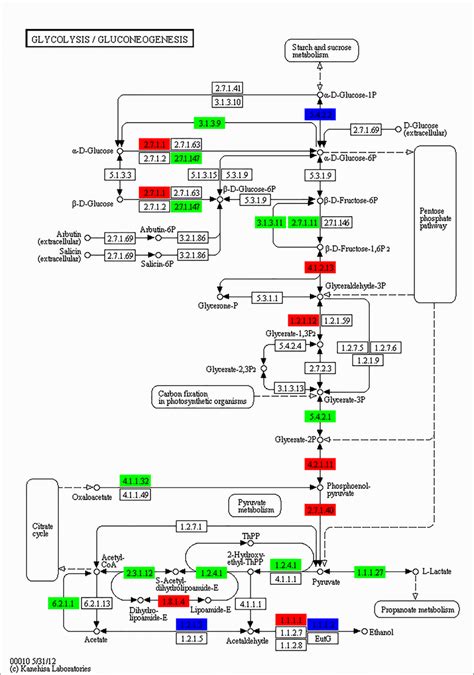 Significantly Differentially Expressed Genes Identified By Kegg In The Download Scientific