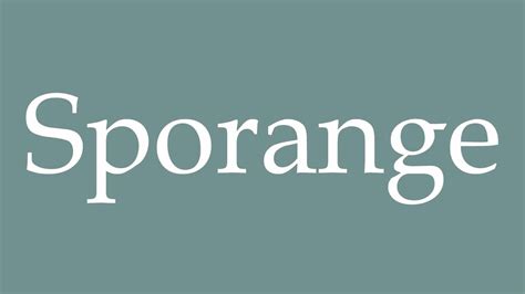 How To Pronounce Sporange Sporangium Correctly In French YouTube