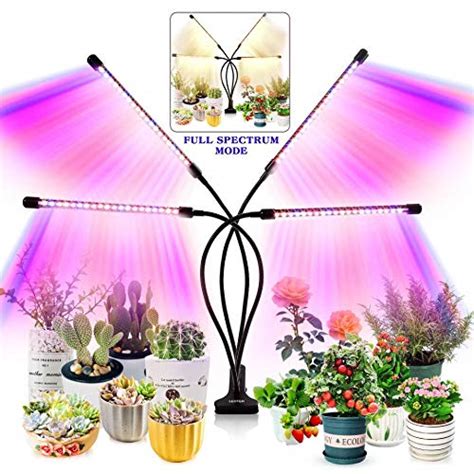 Best Heat Lights For Plants To Keep Your Garden Growing Year-Round