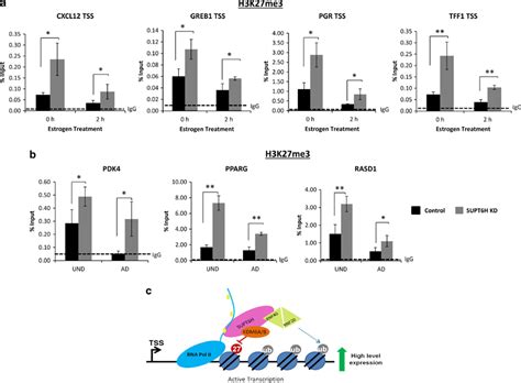 Supt6h Regulates H3k27me3 On Genes During Transcription A Samples