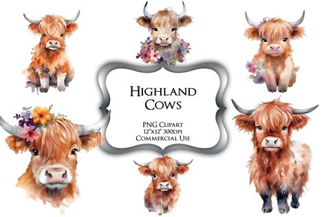 Watercolor Highland Cows Png Clipart Graphic By Party Pixelz Creative