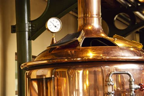 Beer Buzz: A New Degree In Brewing - 5280