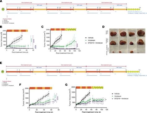 Jci Insight Targeting Bcl Xl In Fibrolamellar Hepatocellular Carcinoma