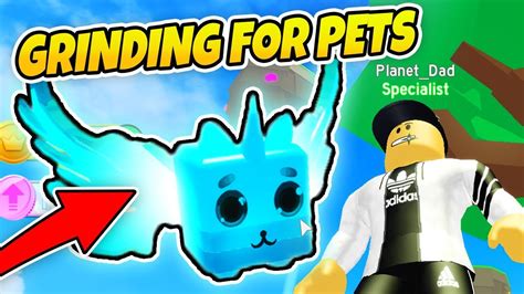 All Codes Pet Ranch Simulator Grinding For Pets Roblox Youtube