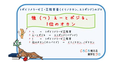 トポイソメラーゼⅠ・Ⅱ阻害薬（イリノテカン、ノギテカン、エトポシド）のゴロ ごろごろ覚える薬学生ゴロ Cbt･薬剤師国家試験対策